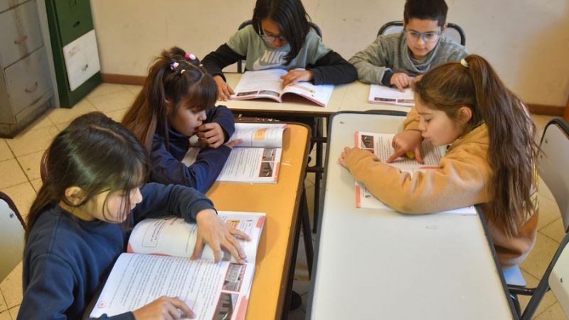 Ciclo lectivo 2026: se distribuirán más de 100.000 libros