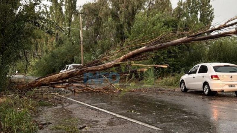 Fuerte temporal de lluvia, viento y granizo afectó a la ciudad y alrededores