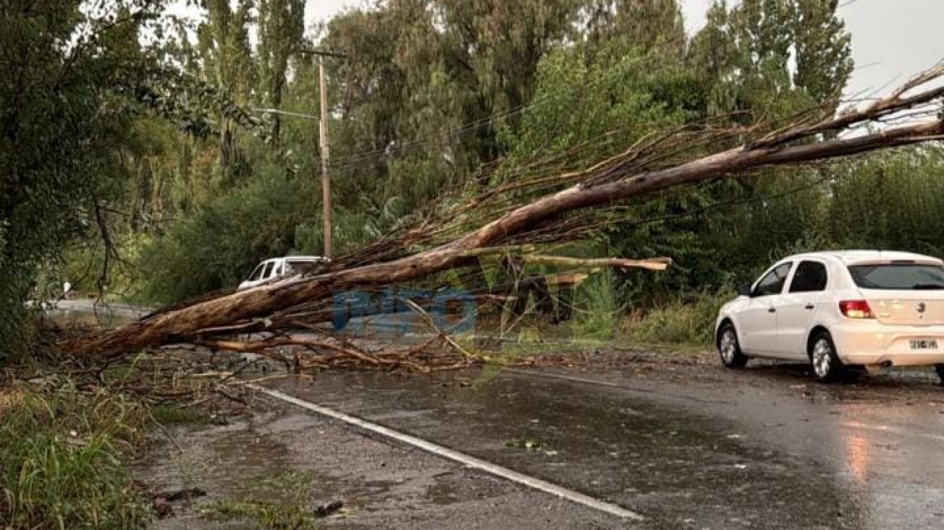 Fuerte temporal de lluvia, viento y granizo afectó a la ciudad y alrededores