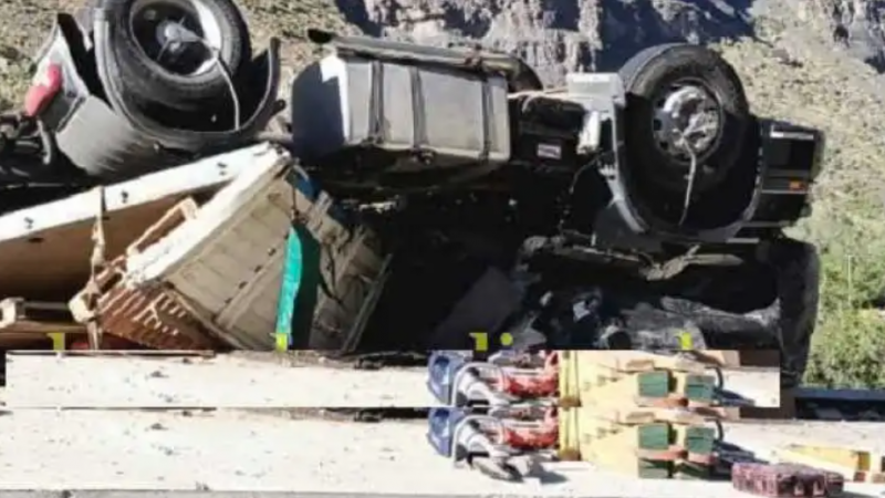 Fatal accidente: un camionero argentino murió al ingreso a Chile