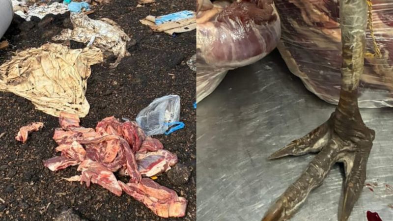 Decomisaron carne en mal estado y una pata de choique