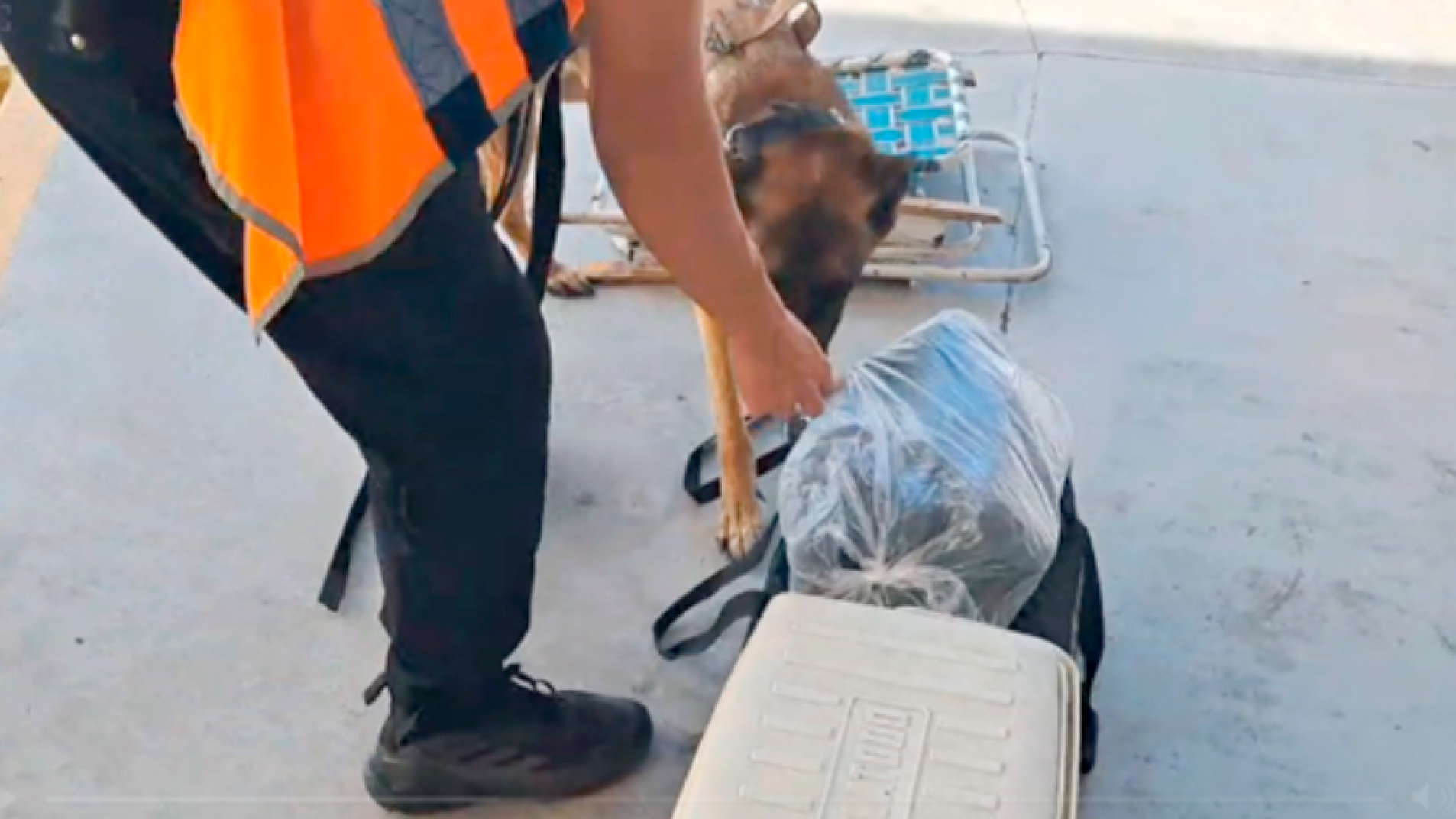 Un detenido y secuestro de droga en la terminal de San Rafael