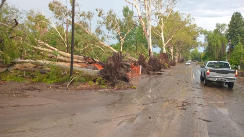 Temporal en Mendoza: el Gobierno provincial confirmó que no hubo víctimas fatales