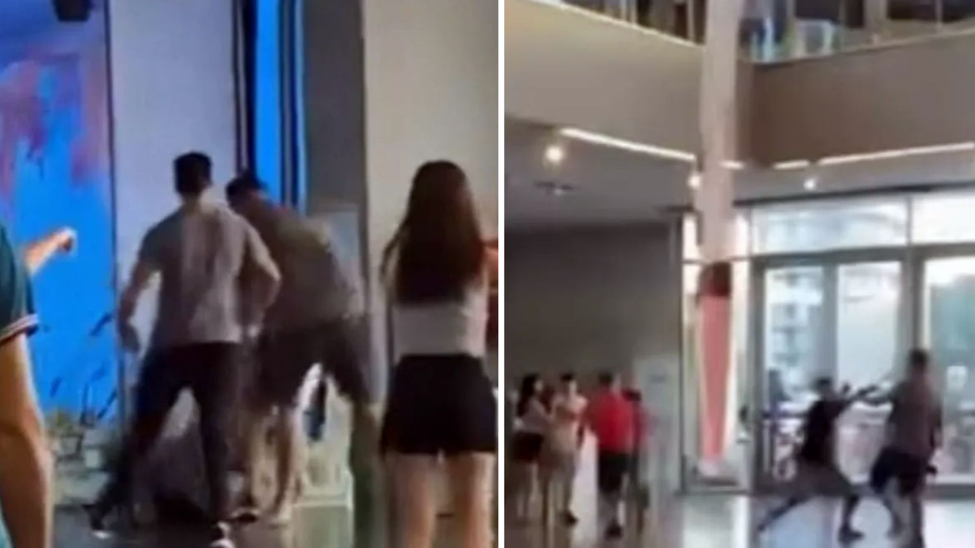 Video: el novio actual y el ex se pelearon a trompadas en un museo