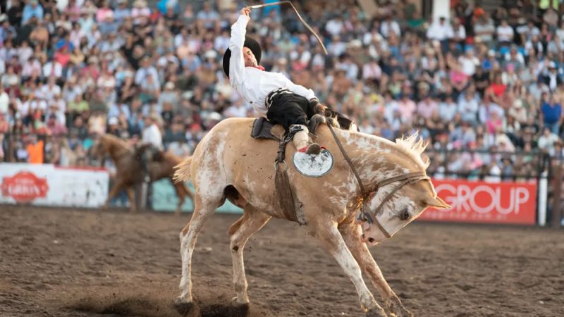 Polémico: un proyecto de Ley busca prohibir las jineteadas en Mendoza