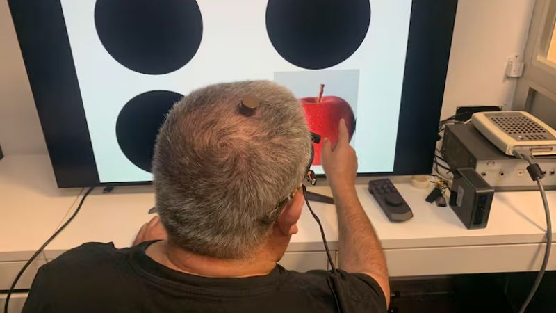 Logran que una persona ciega recupere parte de la visión