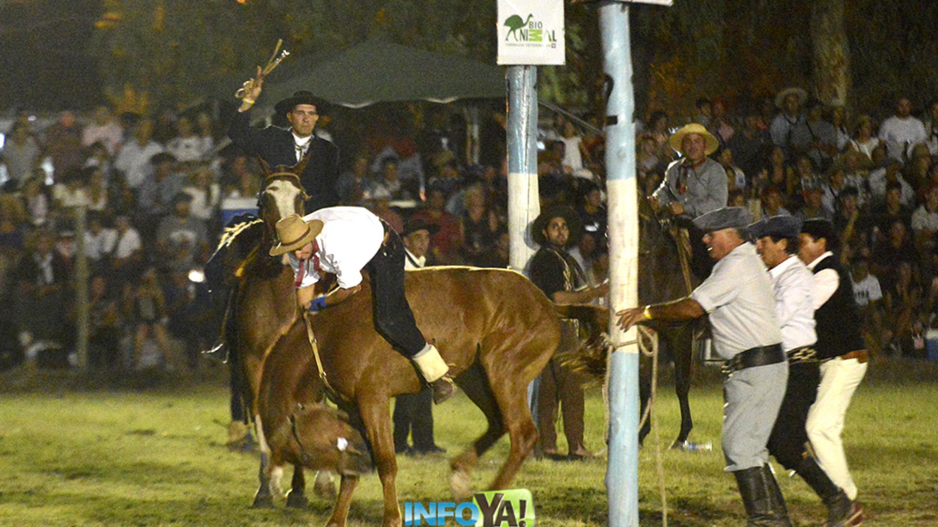 Las destrezas criollas es una de las atracciones principales del festival