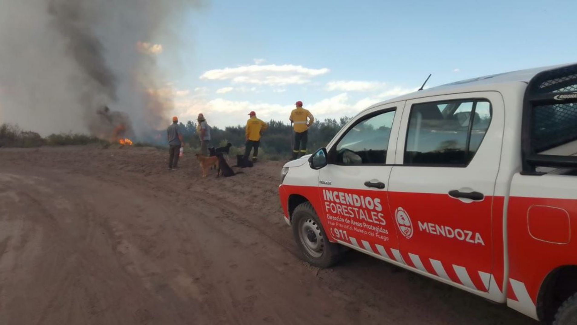 Importante incendio en las inmediaciones del Río Atuel