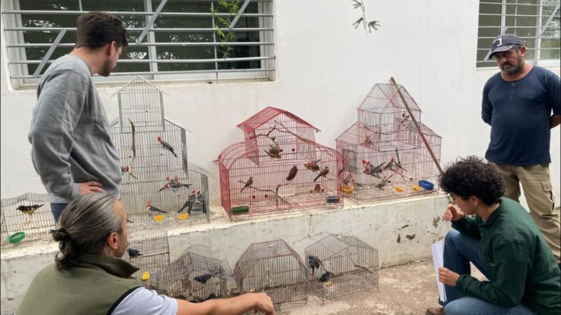 Mendoza enviará 48 aves rescatadas del tráfico ilegal a San Luis