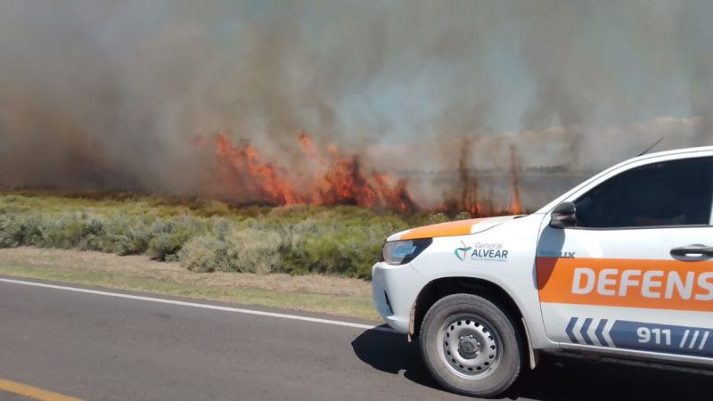 Un incendio en el límite entre San Rafael y Alvear afectó 120 hectáreas