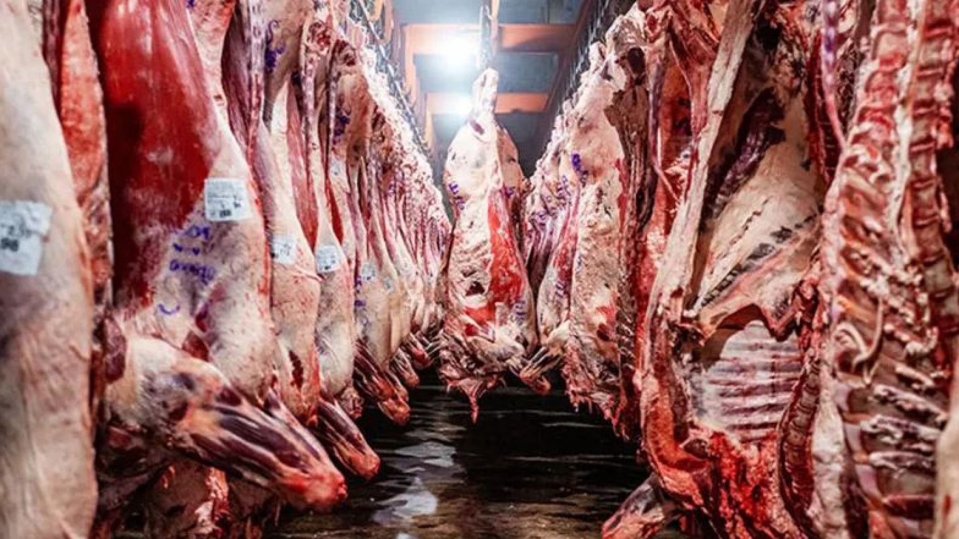 El consumo de carne vacuna cayó a su nivel más bajo en 21 años