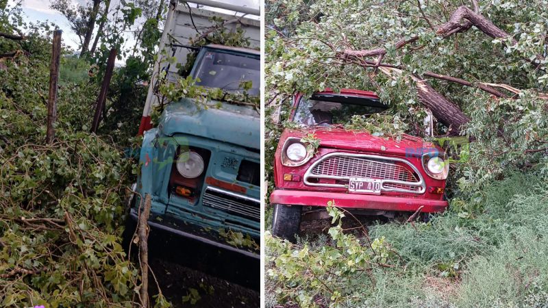 Durante la tormenta un árbol grande cayó sobre un Rastrojero y un camión