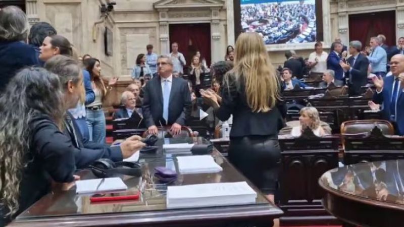 "Quedaste grabada, pedazo de loca": diputada desconectó los micrófonos