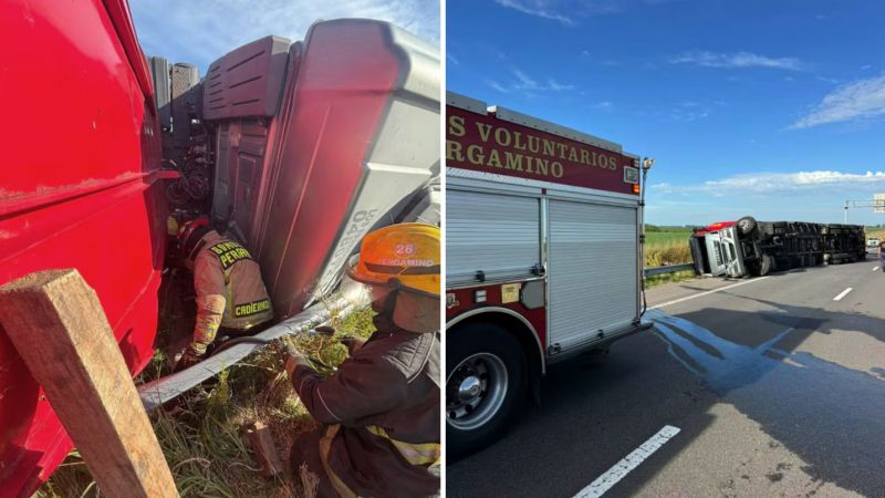 Murió un chofer que transportaba ganado y la gente faenó a los animales