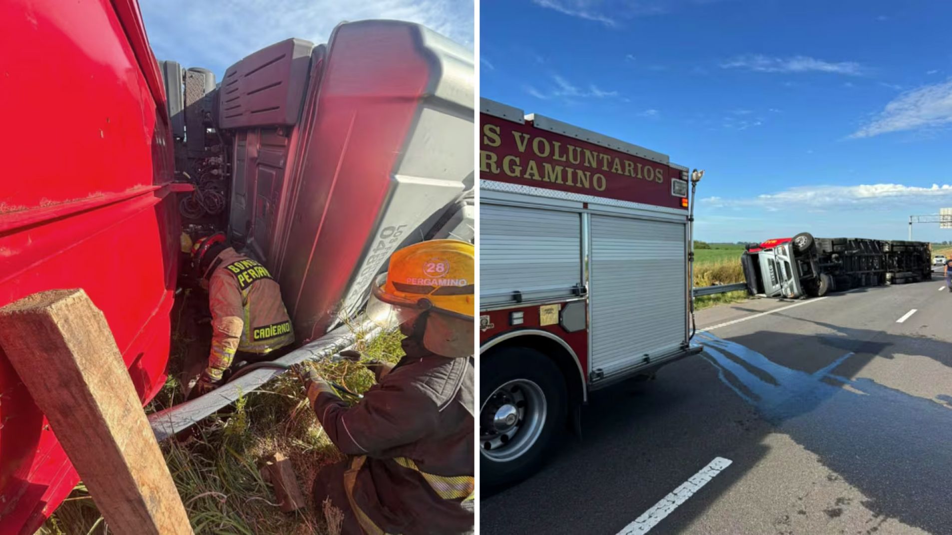 Murió un chofer que transportaba ganado y la gente faenó a los animales