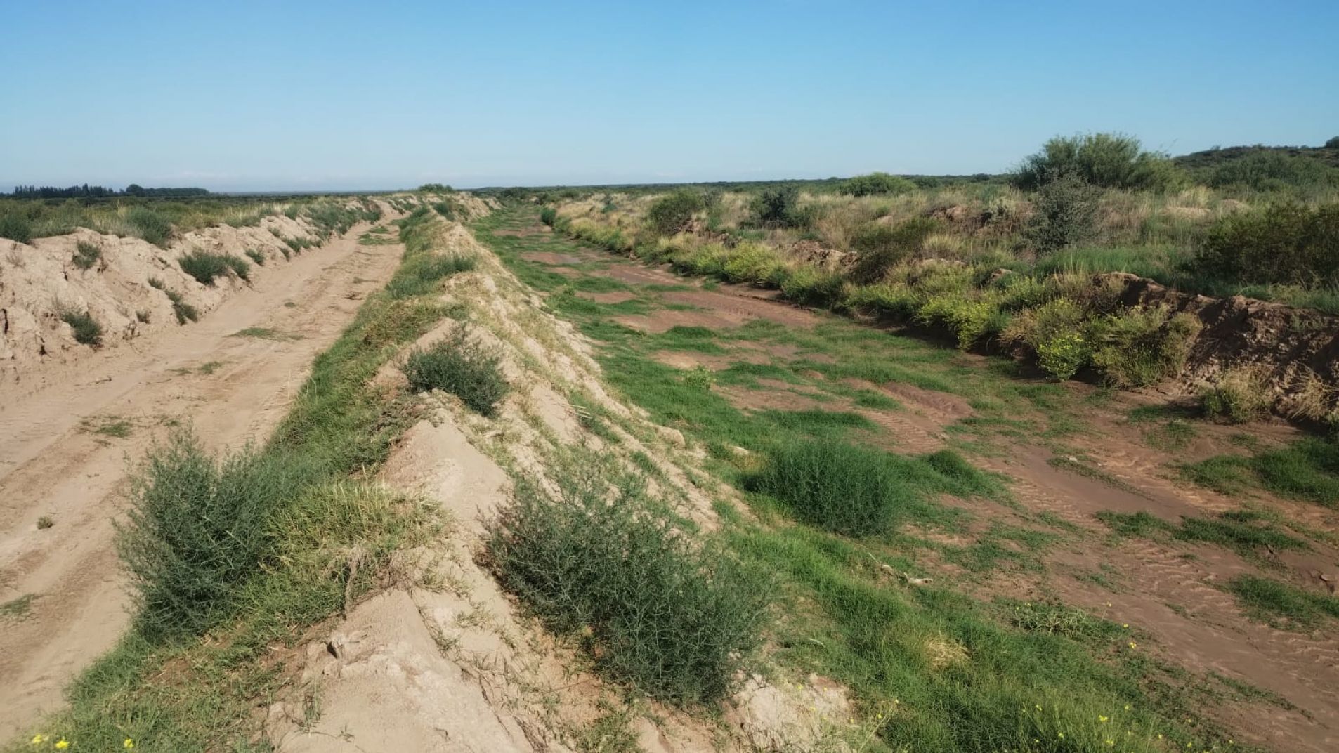 Dos empresas se presentaron para la obra en el cauce de La Hedionda