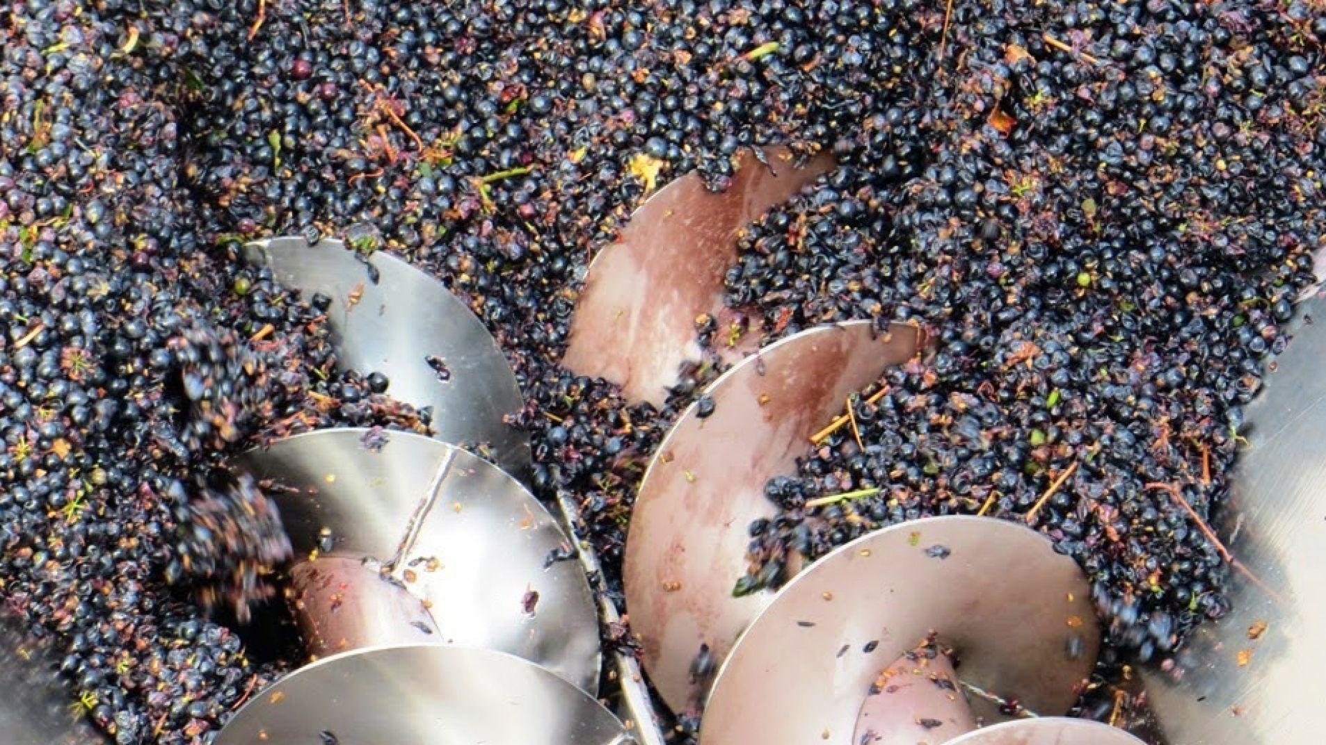 "Los empresarios bodegueros son unos miserables"