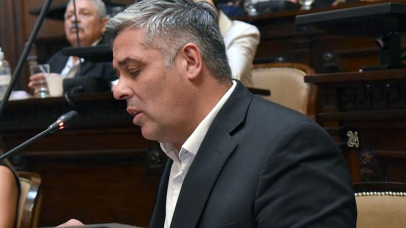 Presentaron un proyecto para declarar la emergencia vitivinícola en Mendoza