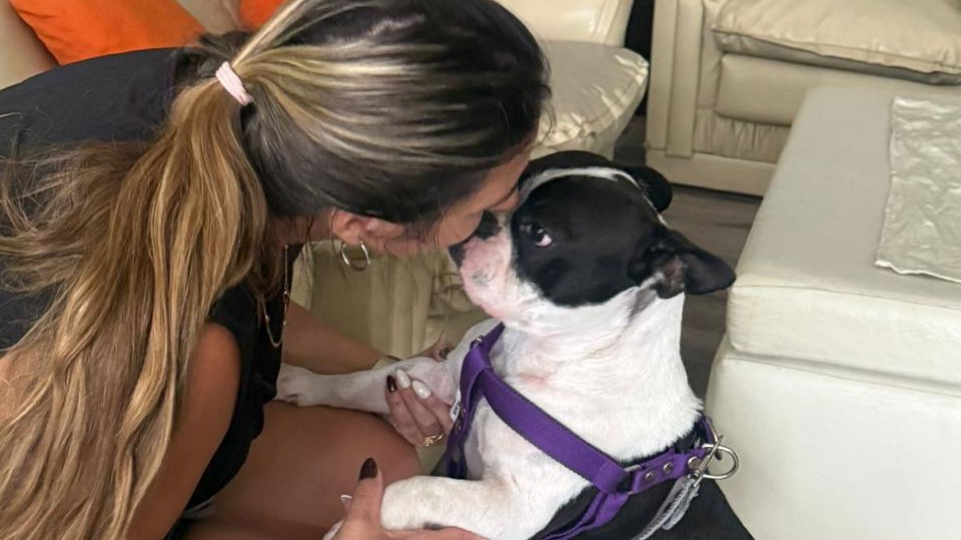 Estuvo perdida más de un año y gracias a una publicación volvió a casa