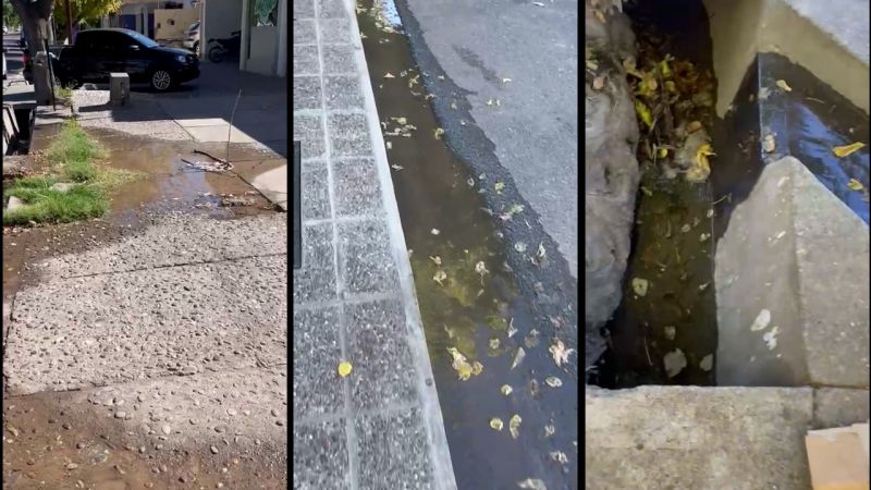 Vecinos de la avenida Balloffet piden la reparación de dos pérdidas de agua