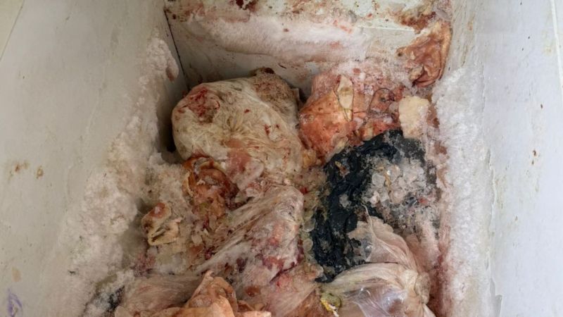 Decomisaron en Alvear 70 kilos de carne de cerdo en mal estado
