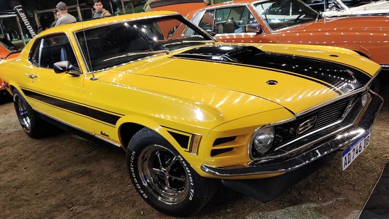 En fotos: apasionante presencia de vehículos en el Parque Hipólito Yrigoyen