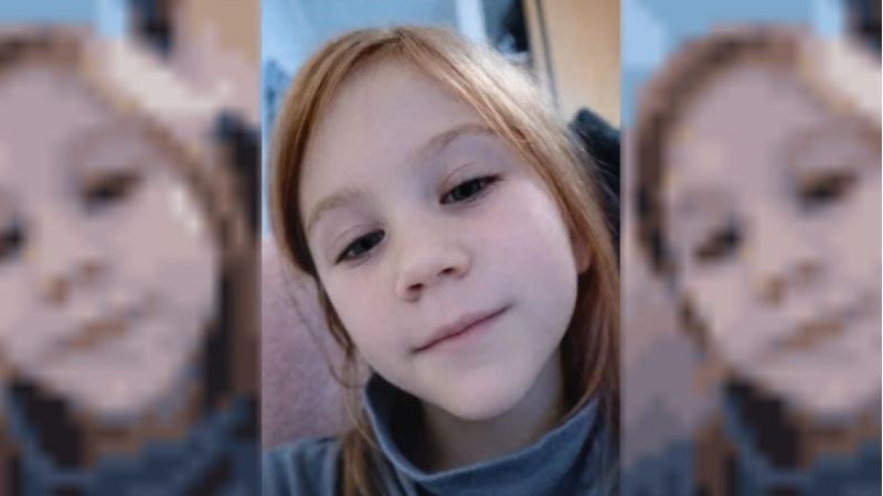 Ordenan la restitución de una niña de 7 años que estaría con su madre