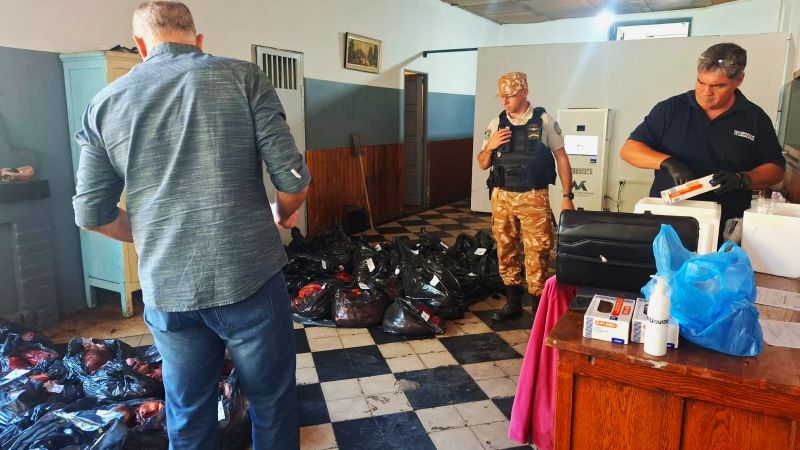 Carne de San Rafael secuestrada en San Carlos: el 80% era de caballo