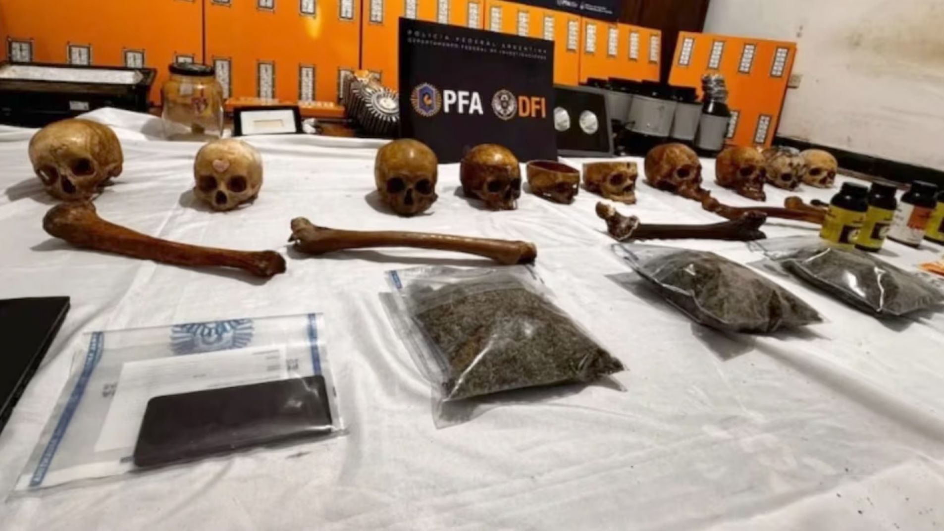 Encontraron cráneos humanos y uno tenía un crucifijo incrustado