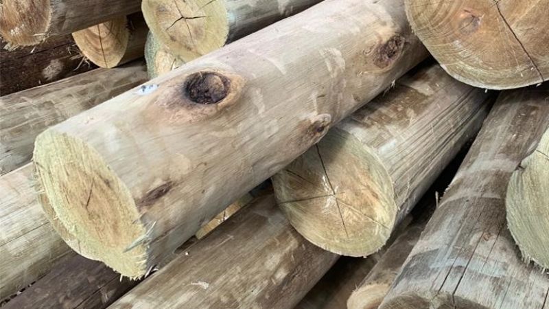 Entraron a una finca y robaron palos para la estructura de la tela antigranizo