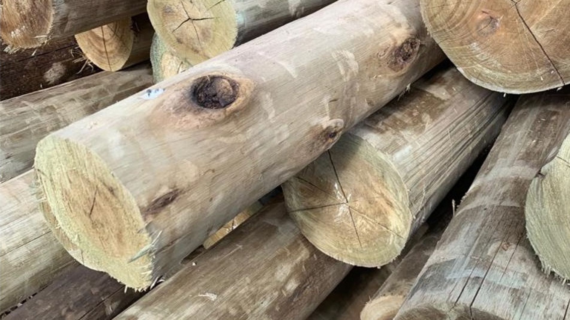 Entraron a una finca y robaron palos para la estructura de la tela antigranizo