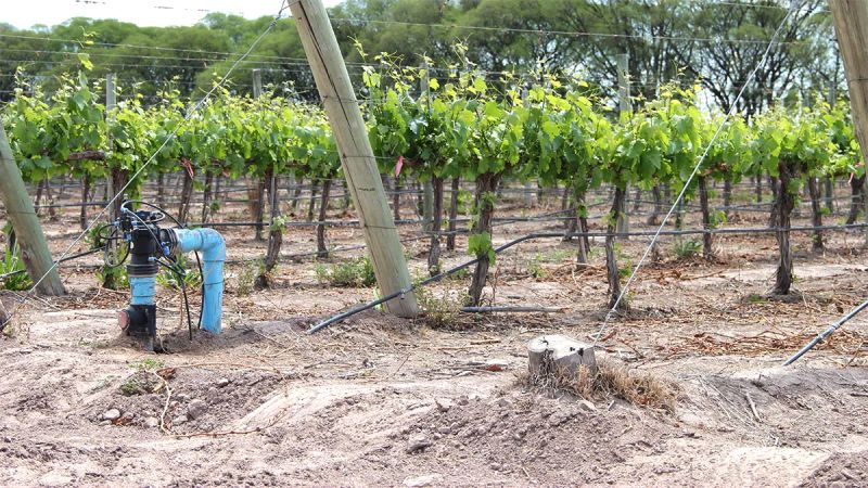 Beneficios fiscales para productores y entidades vinculadas al sector agropecuario