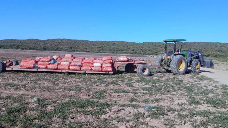 Un trabajador rural murió al ser arrollado por un trailer en Las Malvinas