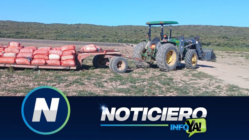 Tragedia: Murió un trabajador en Las Malvinas mientras cosechaban ajos