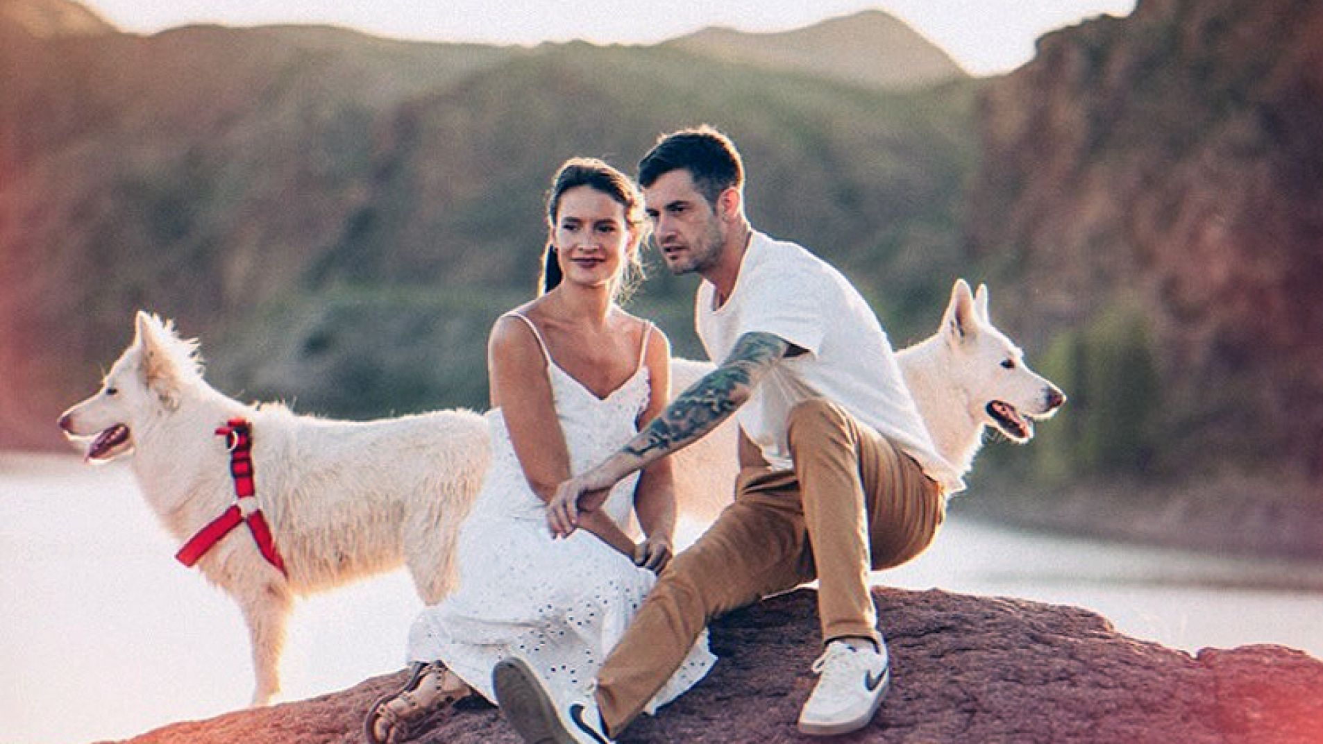 Se van del país: para no dejar sus perros piden ayuda para que viajen con ellos