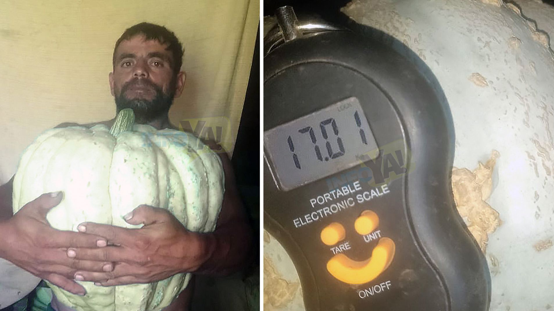 Otro zapallo gigante: pesó 17 kilos y lo cosechó en su huerta