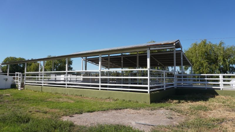 Mejoras en el matadero municipal para ampliar la capacidad de faena