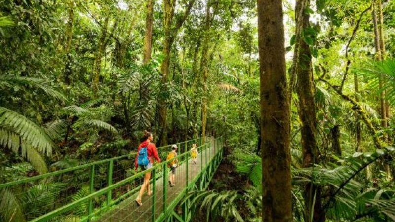 Estudio revela cómo los sonidos de la ciudad inciden en la salud mental