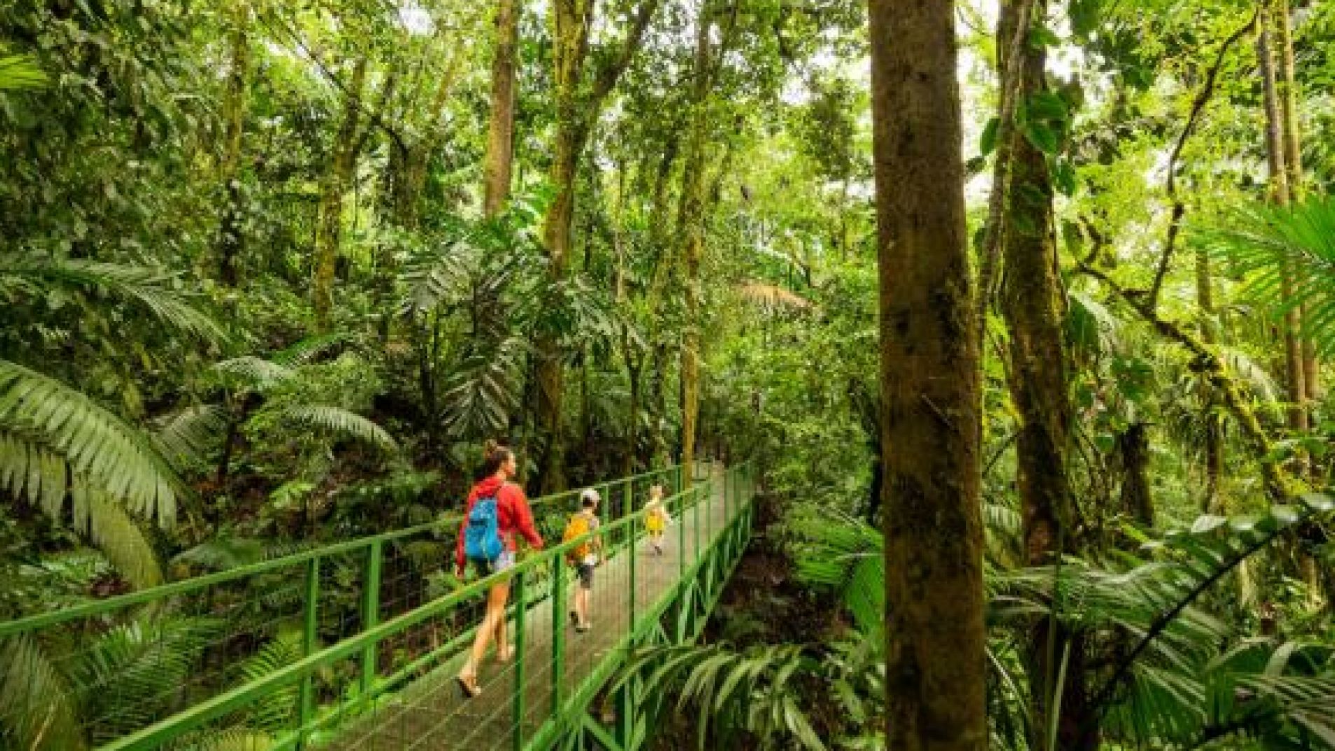 Estudio revela cómo los sonidos de la ciudad inciden en la salud mental