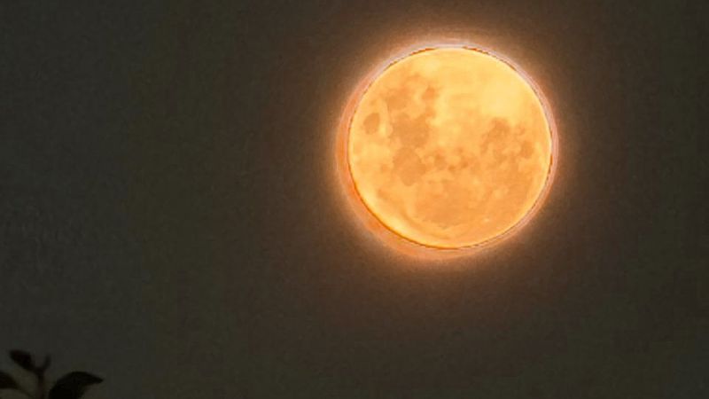 En San Rafael ya está a pleno: mirá la Luna Rosa de abril 2026