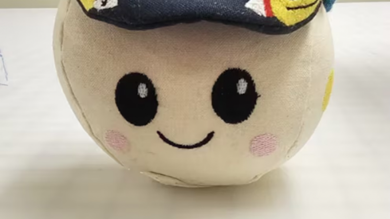 Qué función cumple "Rise", el peluche que acompaña a los astronautas