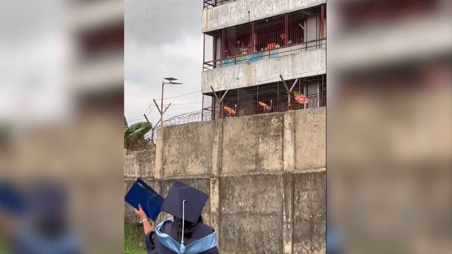 Una celebración que se volvió viral y emocionante (Video)