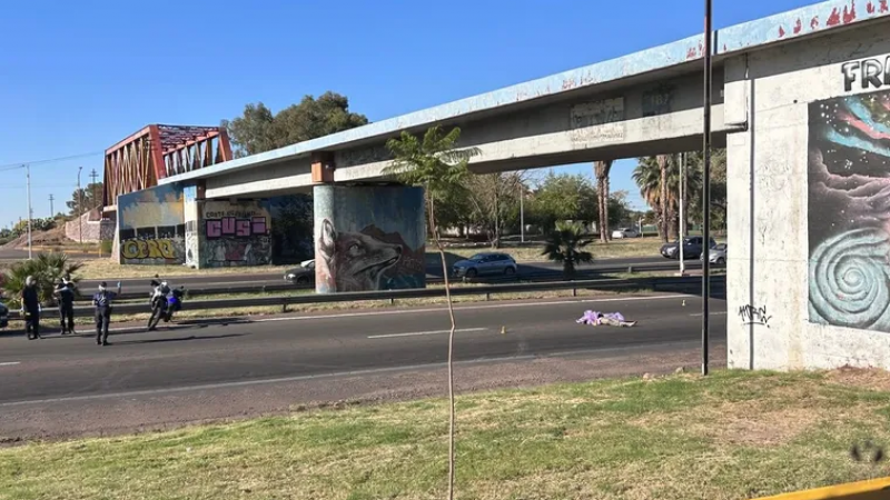 Un hombre de 30 años se arrojó desde un puente y murió atropellado
