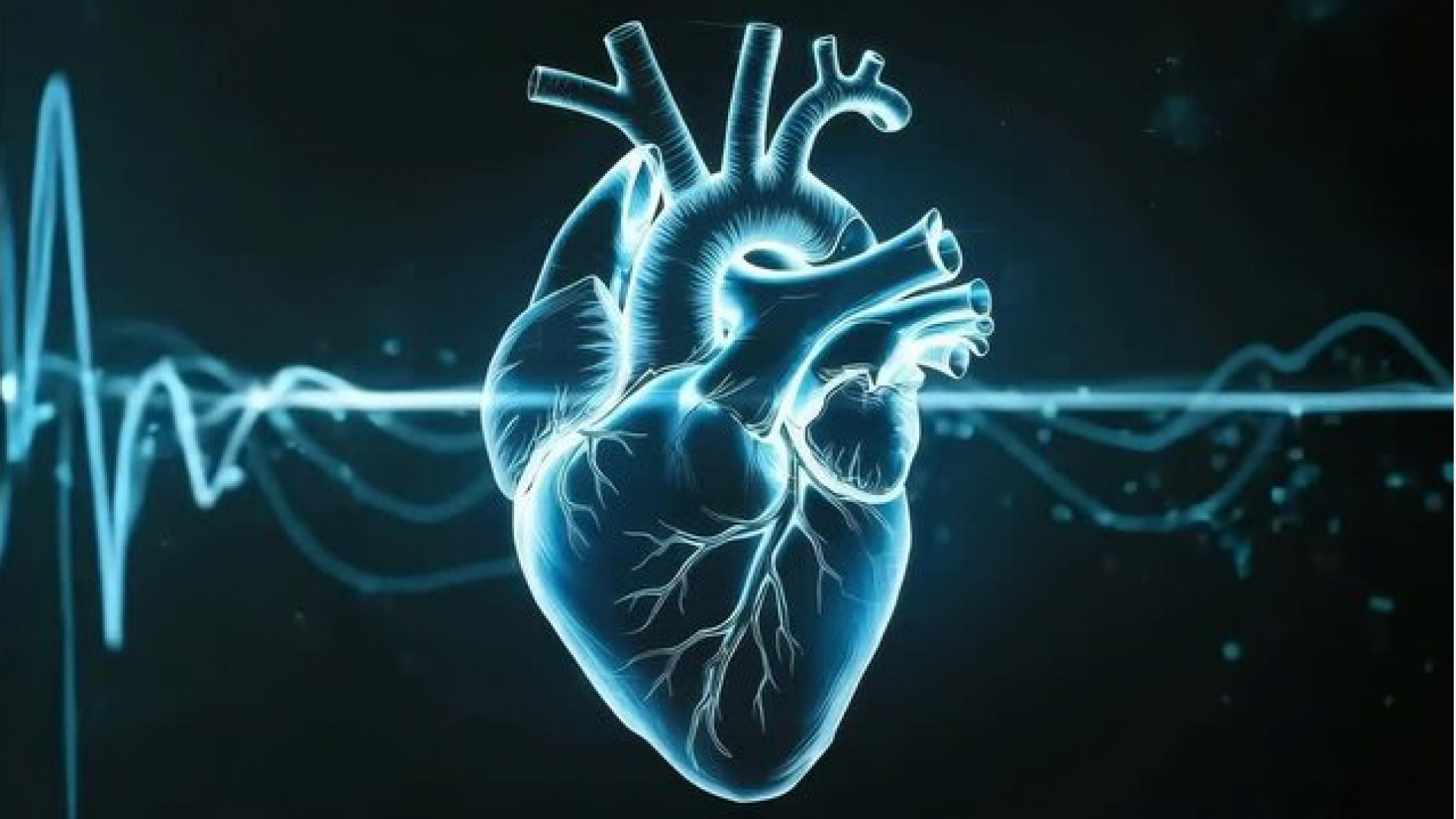 Hoy es el Día de la Cardiología Argentina
