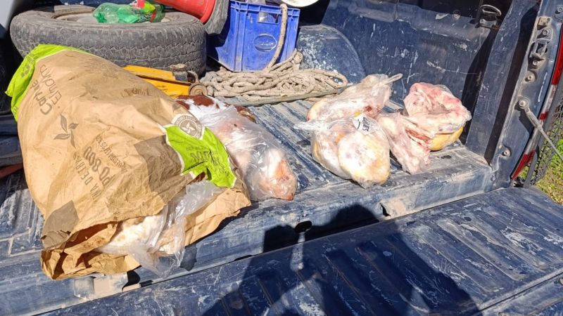 Otro decomiso en Alvear de carne en mal estado