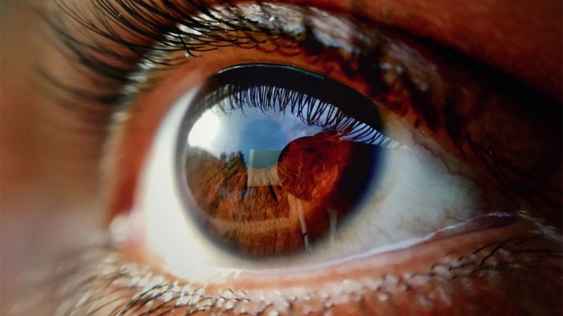 El poder de una mirada