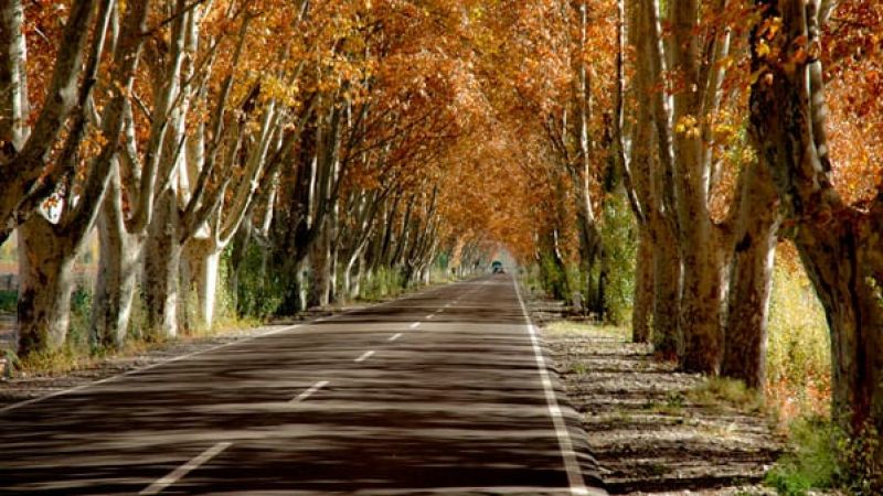 Un fin de semana bien otoñal con probabilidad de lluvias para el domingo