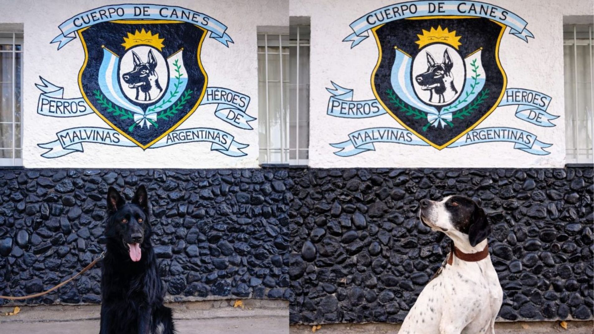 Dos de los perros que integran el Cuerpo de Canes Sur.