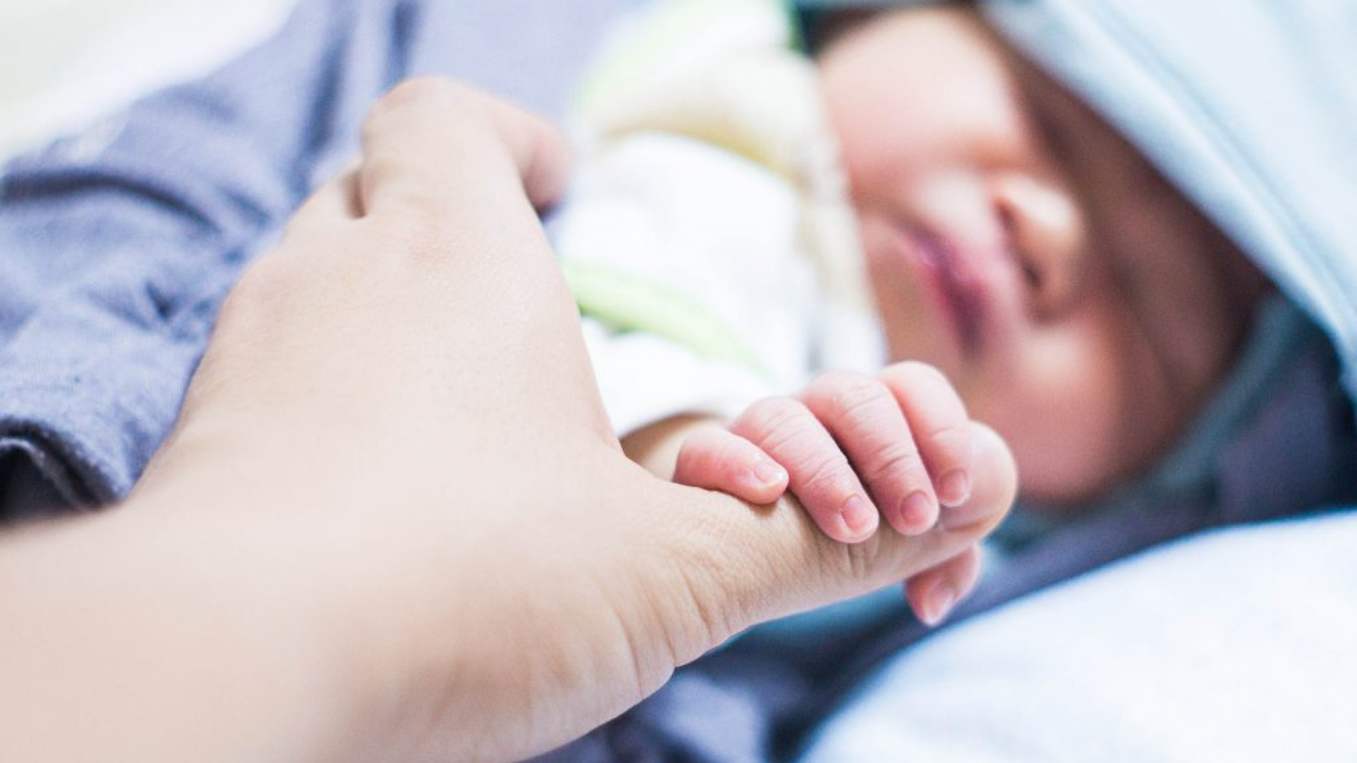 (imagen ilustrativa)