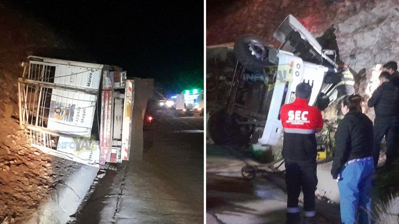 Volcó un camión con 34 caballos en la Cuesta: murieron cinco